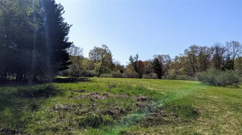 V/l Sippy, Custer, MI 49405 photo 9