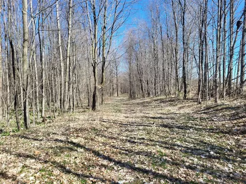 00 9 Mile Rd, Copemish, MI 49625 photo 16