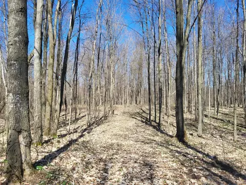00 9 Mile Rd, Copemish, MI 49625 photo 14
