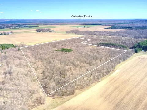 00 9 Mile Rd, Copemish, MI 49625 photo 8