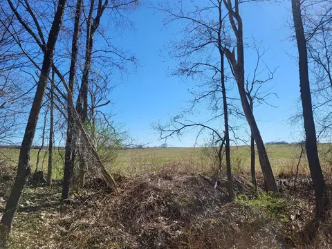 00 9 Mile Rd, Copemish, MI 49625 photo 15