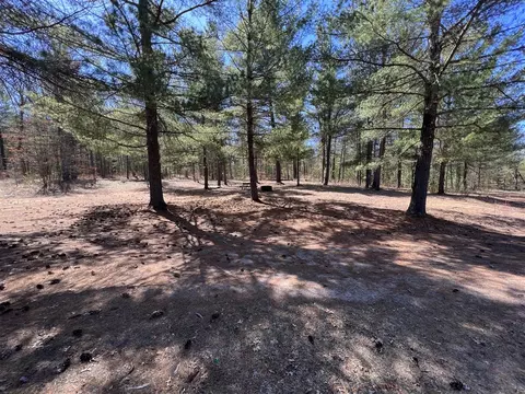 2222 M-37, Baldwin, MI 49304 photo 37