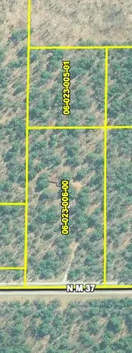2222 M-37, Baldwin, MI 49304 photo 9