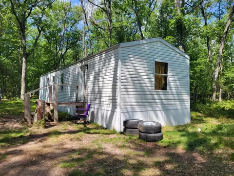 11578 N Dexter, Irons, MI 49644