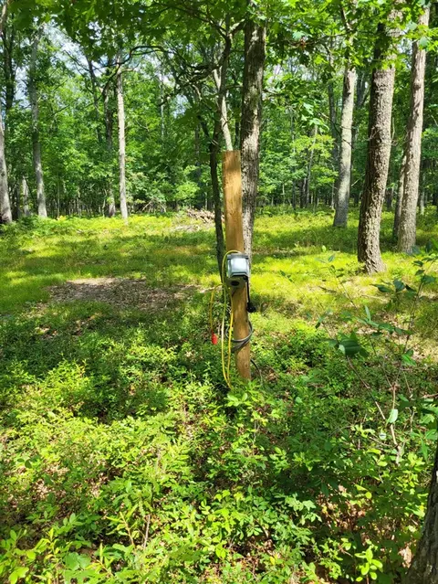 Other - 11578 N Dexter, Irons, MI 49644 photo 7 of 7