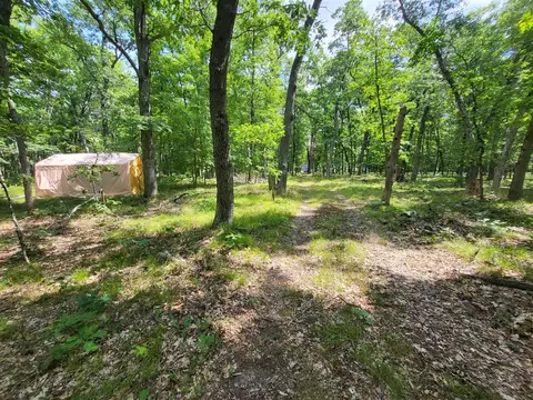 Exterior - 11578 N Dexter, Irons, MI 49644 photo 3 of 7