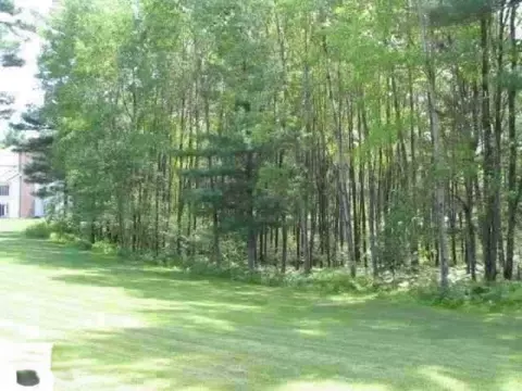 0 White Pne #LOT 63, Cadillac, MI 49601