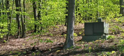 0 Silver Vis #9, Mears, MI 49436 photo 10