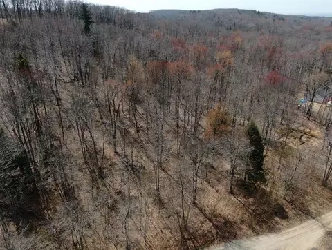 0 Silver Vis #9, Mears, MI 49436 photo 30