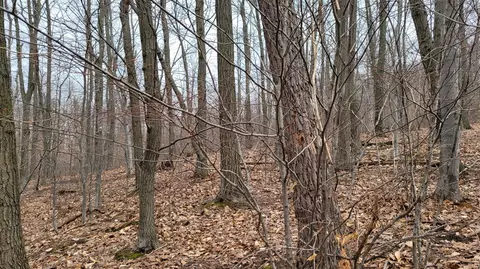 0 Silver Vis #9, Mears, MI 49436 photo 23