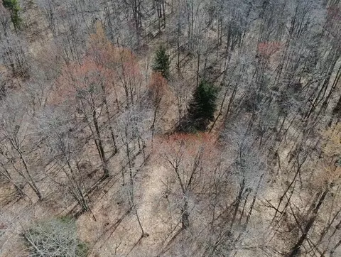 0 Silver Vis #9, Mears, MI 49436 photo 34