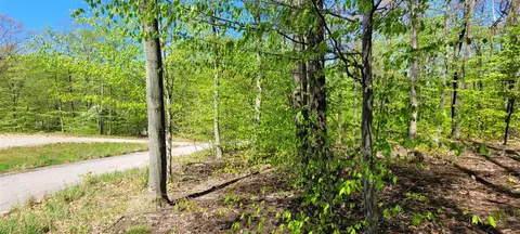 0 Silver Vis #9, Mears, MI 49436 photo 12