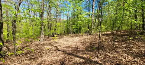 0 Silver Vis #9, Mears, MI 49436 photo 4