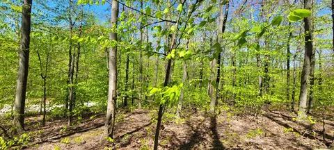 0 Silver Vis #9, Mears, MI 49436 photo 5