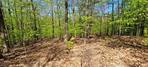 0 Silver Vis #9, Mears, MI 49436 photo 9