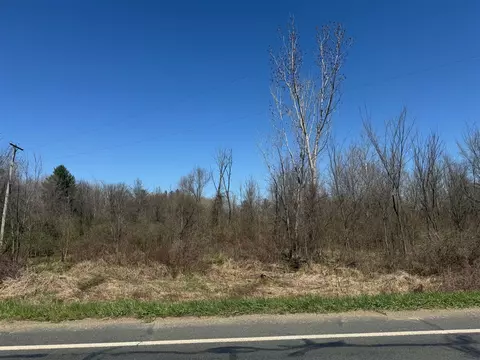 Par A 135th, Hopkins, MI 49328