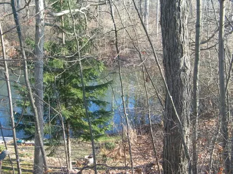 10921 Woodbrook, Cement City, MI 49233