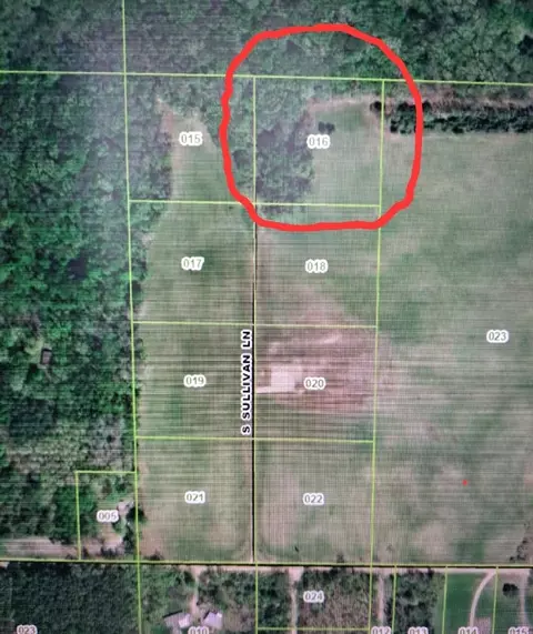 Lot 16 S Sullivan, Croton, MI 49337