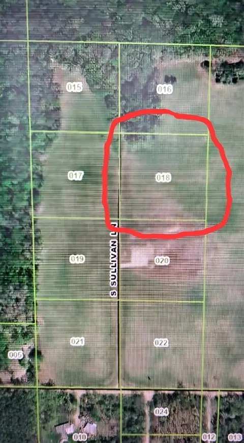 Lot 18 S Sullivan, Croton, MI 49337