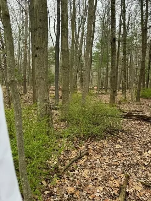 Lot 8 Toliver, Mears, MI 49436