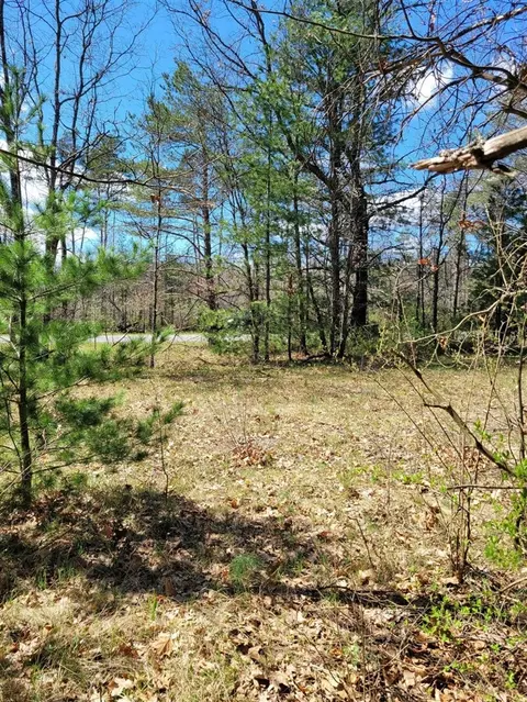 V/l N West County Line, Newaygo, MI 49337 photo 2