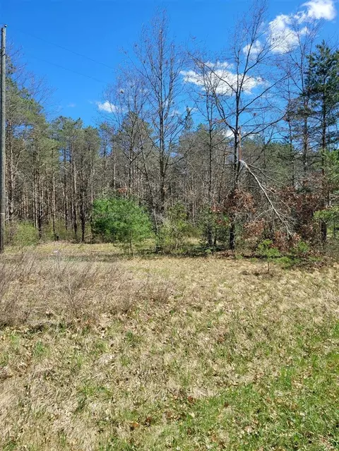 V/l N West County Line, Newaygo, MI 49337 photo 5