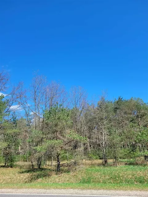 V/l N West County Line, Newaygo, MI 49337 photo 6