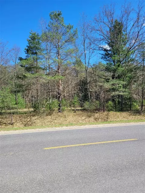 V/l N West County Line, Newaygo, MI 49337 photo 4