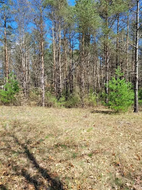 V/l N West County Line, Newaygo, MI 49337