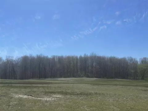 V/l 133rd Parcel B, Wayland, MI 49348