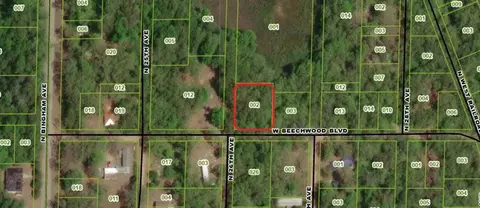 V/l W Beachwood, Bitely, MI 49309 photo 3