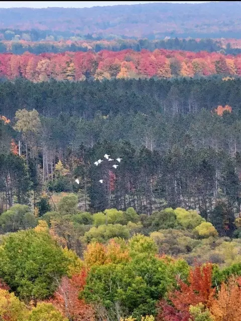 00 12 12 Rd, Mesick, MI 49668 photo 5