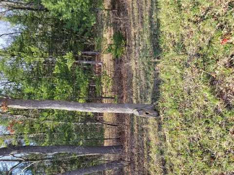Caberfae Hwy, Manistee, MI 49660
