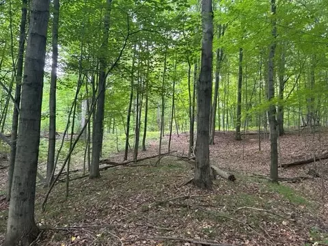 1021 Pueblo Pass, Lake Isabella, MI 48893