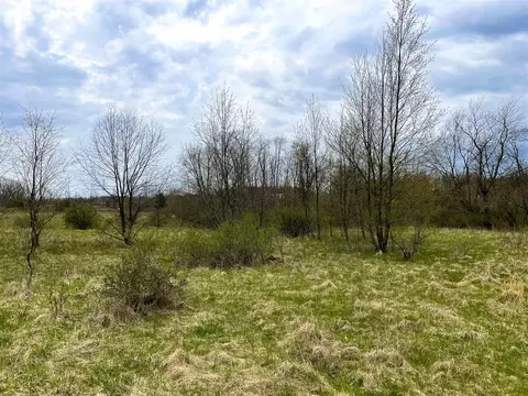 v/l forest shores, Cassopolis, MI 49031 photo 3