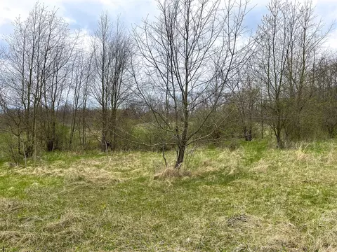 v/l forest shores, Cassopolis, MI 49031 photo 2
