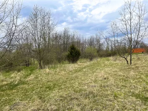 v/l forest shores, Cassopolis, MI 49031 photo 5