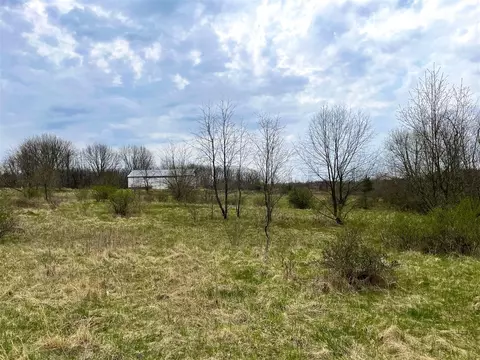 v/l forest shores, Cassopolis, MI 49031 photo 4