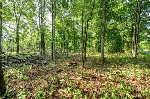 10967 E Shr, Portage, MI 49002 photo 7