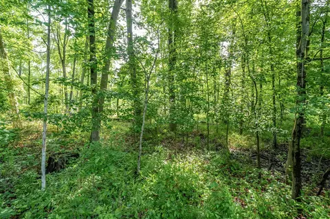10967 E Shr, Portage, MI 49002 photo 3