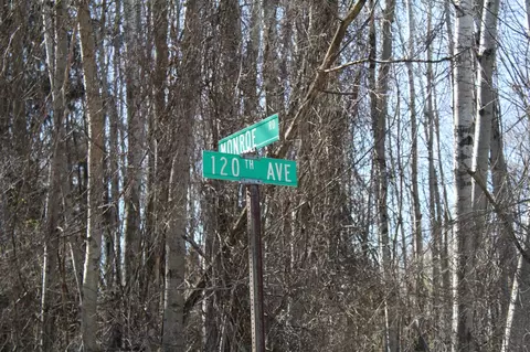 V/l 120th Ave, Morley, MI 49336 photo 5