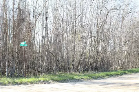 V/l 120th Ave, Morley, MI 49336 photo 2