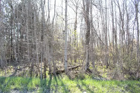 V/l 120th Ave, Morley, MI 49336 photo 6