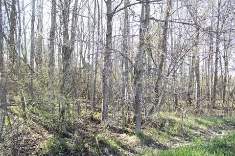 V/l 120th Ave, Morley, MI 49336 photo 8