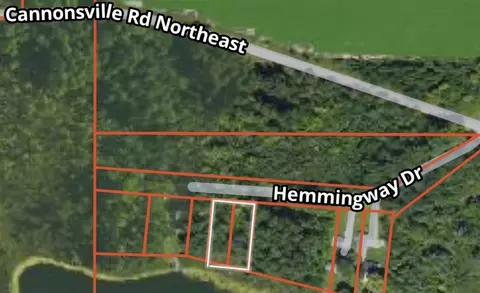 0 Hemmingway, Stanton, MI 48888 photo 3