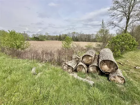 108 E Colon, Coldwater, MI 49036 photo 6