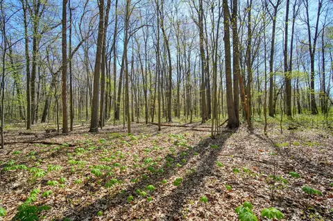 0 Oakville Waltz, Willis, MI 48191 photo 29