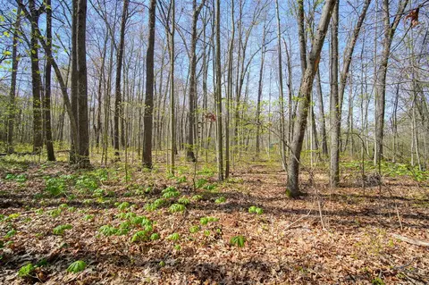 0 Oakville Waltz, Willis, MI 48191 photo 20