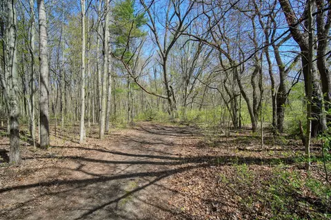0 Oakville Waltz, Willis, MI 48191 photo 17