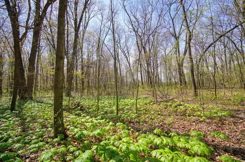 0 Oakville Waltz, Willis, MI 48191 photo 33